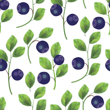 15 505 Best Blueberry Drawing Images Stock Photos Vectors Adobe Stock