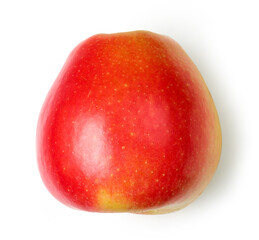 fresh ripe apple