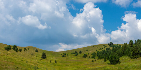 Fototapeta na wymiar Alpages avec un ciel nuageux en fond