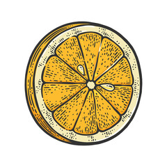 Lemon slice color sketch engraving vector illustration. T-shirt apparel print design. Scratch board imitation. Black and white hand drawn image.