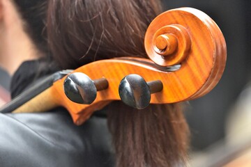 scroll cello with black pegs 