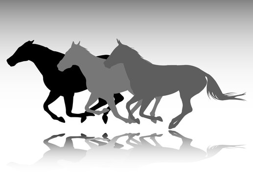 three horses galloping silhouettes - vector
