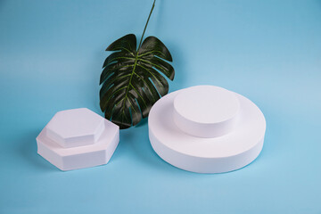 Abstract minimal scene with an artificial monstera leaf and geometric shapes for cosmetics on a...