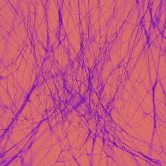 Obraz premium Cobweb surrounded by flying particles. Abstract colored mystic backdrop. 3d rendering illustration