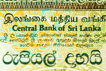 Horizontal macro detail of obverse side of one thousand 1000 Sri Lankan rupee LKR banknote (Elephants) from 1991, withdrawn from circulation in 2010