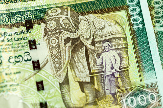 Horizontal macro detail of obverse side of one thousand 1000 Sri Lankan rupee LKR banknote (Elephants) from 1991 adorned with a decorated elephant and its handler, withdrawn from circulation in 2010
