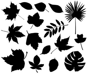 Collection of silhouettes of different species of foliage