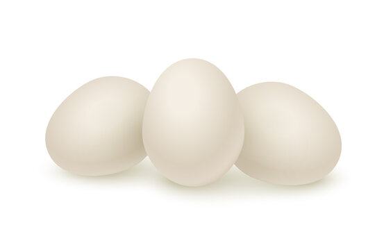 Three raw white eggs set. Organic fresh food for breakfast vector illustration. Whole eggs ready for cooking and eating, yolk and protein inside, isolated on white background