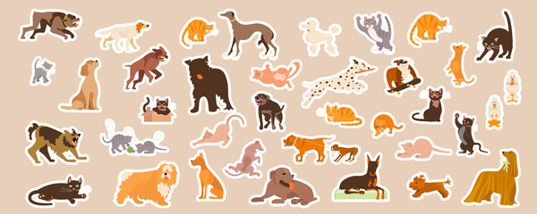 Domestic cats and dogs cute stickers set.