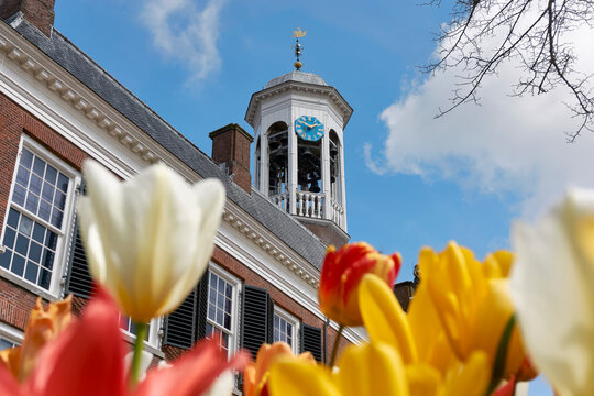 View on the bell tower and clock of the 17th century town hall of Dokkum in the Netherlands in springtime. Brightly colored tulips in the foreground. Image with selective focus.                    