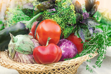 Basket of fresh organic vegetables, local food, freshly picked from the garden. Harvest fresh vegetables from the city garden.