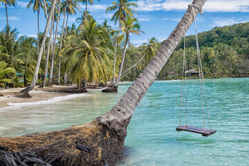 beach with swing and palm trees