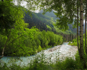 Mountain river Gonachkhir surrounded by forests and trees with mountains in the Teberda nature reserve