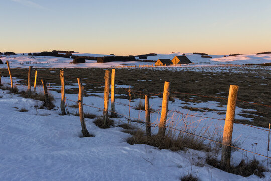 Burons &agrave; l'aube