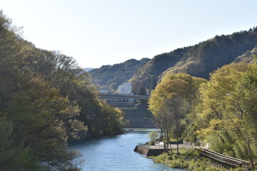 Fototapeta premium 群馬 吾妻川 琴橋 4月 春