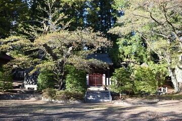 群馬　諏訪神社　4月春の風景