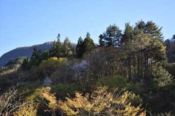 群馬　吾妻川　琴橋　4月　春