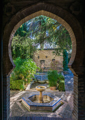 The cute garden located on the terrace of Ronda in the Mondragon palace in Andalusia, Spain