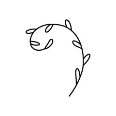 doodle with plants, foliage, leaf, grass, branch. Linear vector illustration. hand-drawn symbols and style objects . simple, black drawing for sticker, decor, postcard, badge, coloring book, logo