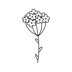 doodle with plants, flowers, grass, a bunch of inflorescences. Linear vector illustration. hand-drawn symbols and style objects . simple, black drawing for sticker, decor, postcard, coloring book