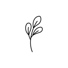 doodle with plants, foliage, leaf, grass, branch. Linear vector illustration. hand-drawn symbols and style objects . simple, black drawing for sticker, decor, postcard, badge, coloring book, logo