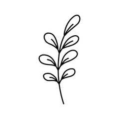 doodle with plants, foliage, leaf, grass, branch. Linear vector illustration. hand-drawn symbols and style objects . simple, black drawing for sticker, decor, postcard, badge, coloring book, logo