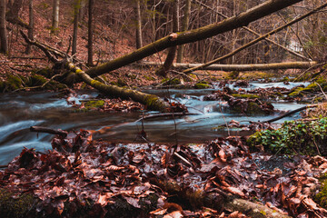 Long exposure photo of the mountain creek with rocks and leaves