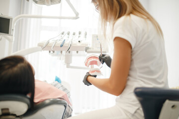 Obraz premium Young woman dentist showing jaw model to female patient in dental clinic