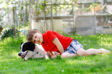 Naklejka na ściany i meble Active kid boy playing with family dog in garden. Laughing school child having fun with training dog, running and playing with ball. Happy family outdoors. Friendship between animal and kids
