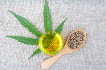 Hemp oil, seeds in a wooden spoon and hemp leaf placed on a doctor's prescription Concepts of alternative medicine, herbal remedies Medical marijuana research