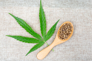 Hemp leaves and seeds in a wooden spoon Placed on a brown background Cannabis and Medical Concepts There is space to put text.