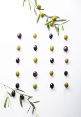 olives with olive branch on white background