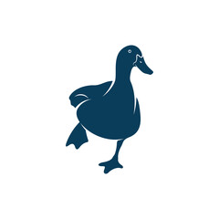 Duck design vector illustration, Creative Duck logo design concept template, symbols icons