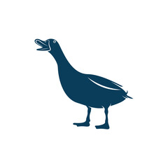 Obraz premium Duck design vector illustration, Creative Duck logo design concept template, symbols icons
