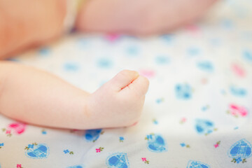 Close-up of baby's hand