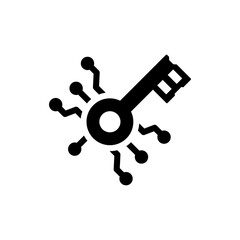 Digital security key icon