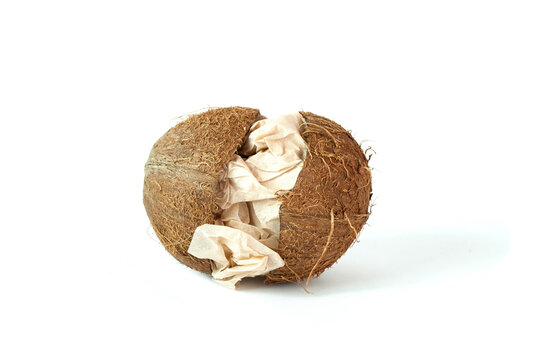 pollution of nature. A plastic lump in a coconut isolated on white. Environmental pollution concept, food problem