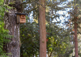 Tierschutz- Selbstbau Vogelhäuschen / Nistkasten im Wald