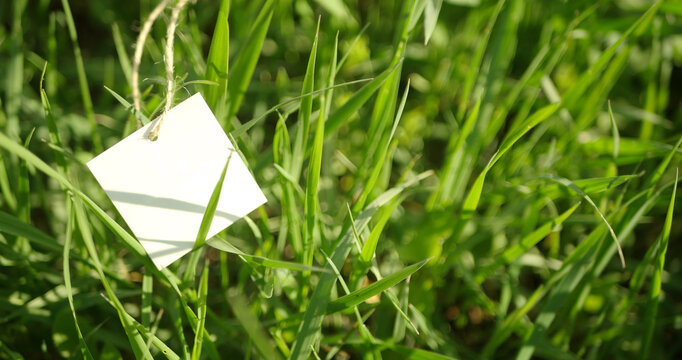 Cloth tag lay on green grass background. Eco aware manufacture. Ecology friendly industry. Organic materials banner. Copy space