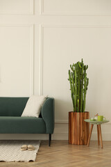 Stylish living room interior with beautiful potted cactus and modern furniture