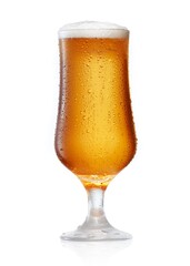 Cold Beer in craft ale glass