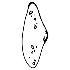 Seashell clam linear doodle contour hand drawing isolate on white background. Monochrome digital art graphics. Print for tattoo, coloring book, children's page, menu, packaging, brand