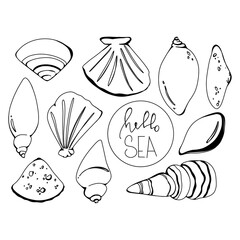 Seashell clam set with letterink sea hello linear doodle outline hand drawing isolate on white background. Monochrome digital art graphics. Print for tattoo, coloring book, children's page, menu