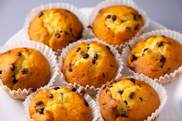 Chocolate magdalenas with chocolate. Traditional spanish muffins recipe.