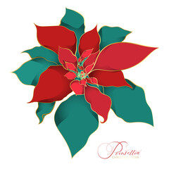 Red green poinsettia christmas flower in an Asian decorative style
