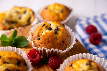 Chocolate magdalenas with chocolate. Traditional spanish muffins recipe.