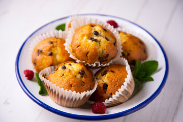 Chocolate magdalenas with chocolate. Traditional spanish muffins recipe.