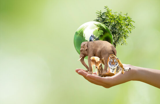 Earth Day or World Animal Day concept. Saving planet, protect wildlife nature reserve, protection of endangered species, biological diversity. Elephant, tiger, deer, parrot and tree with globe in hand