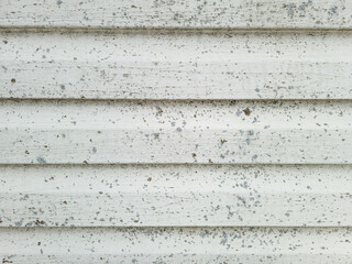 Vinyl siding with buildup of lichen and dirt.