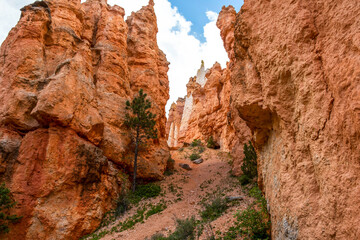 A natural rock formation of Red Rocks Hoodoos in Bryce Canyon National Park, Utah